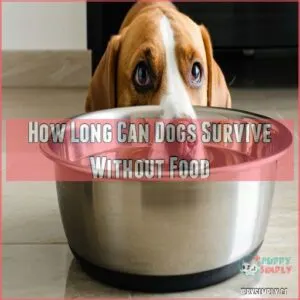 How Long Can Dogs Survive Without Food