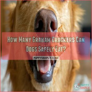 How Many Graham Crackers Can Dogs Safely Eat