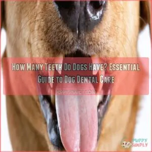 how many teeth do dogs have