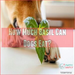 How Much Basil Can Dogs Eat