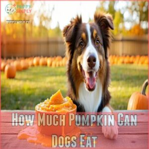 How Much Pumpkin Can Dogs Eat