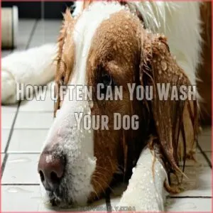 How Often Can You Wash Your Dog