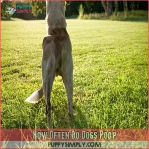 How Often Do Dogs Poop