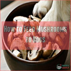 How to Feed Mushrooms to Dogs