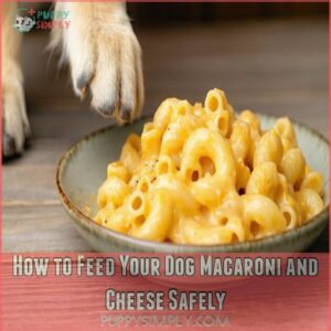 How to Feed Your Dog Macaroni and Cheese Safely