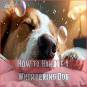 How to Handle a Whimpering Dog