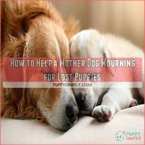 How to Help a Mother Dog Mourning for Lost Puppies