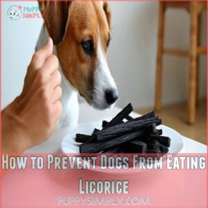 How to Prevent Dogs From Eating Licorice