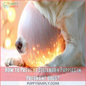 How to Prevent Stillborn Puppies in Pregnant Dogs