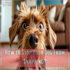 How to Stop Your Dog From Snapping