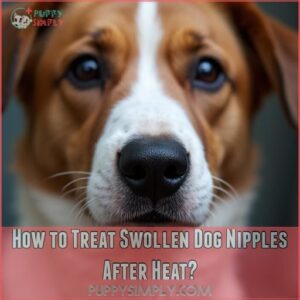 How to Treat Swollen Dog Nipples After Heat