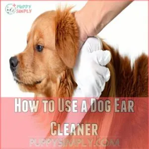 How to Use a Dog Ear Cleaner