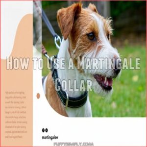 How to Use a Martingale Collar