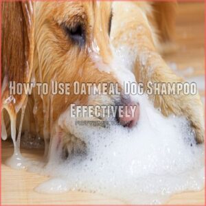 How to Use Oatmeal Dog Shampoo Effectively