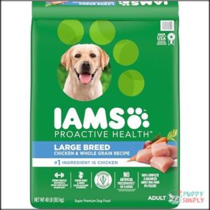 IAMS Adult High Protein Large