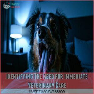 Identifying The Need for Immediate Veterinary Care