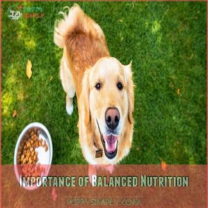 Importance of Balanced Nutrition