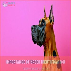 Importance of Breed Identification