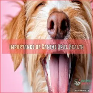 Importance of Canine Oral Health