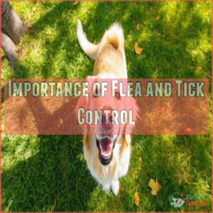 Importance of Flea and Tick Control