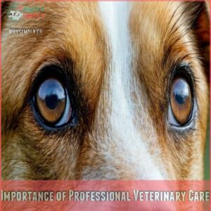 Importance of Professional Veterinary Care