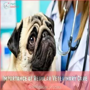 Importance of Regular Veterinary Care