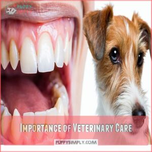 Importance of Veterinary Care