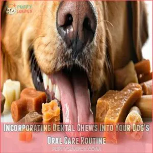 Incorporating Dental Chews Into Your Dog