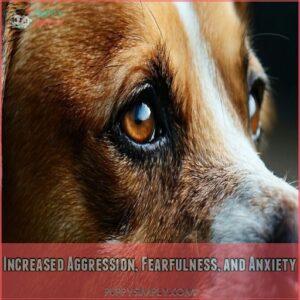 Increased Aggression, Fearfulness, and Anxiety