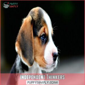 Independent Thinkers