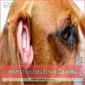 Inspect The Ears Before Cleaning