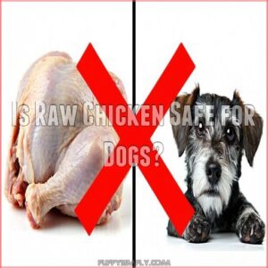 Is Raw Chicken Safe for Dogs