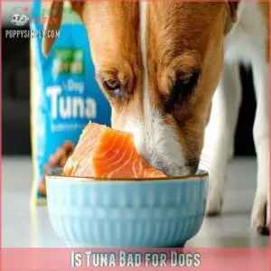 Is Tuna Bad for Dogs