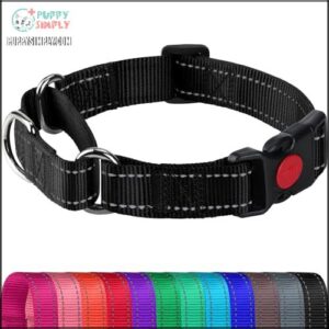 Joytale Martingale Collar for Dogs,