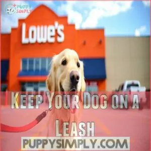 Keep Your Dog on a Leash