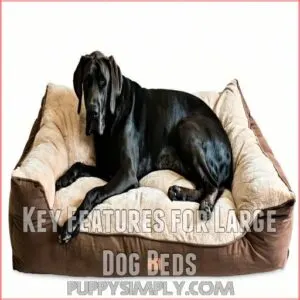 Key Features for Large Dog Beds