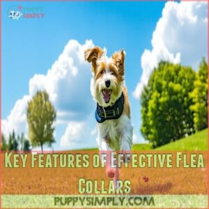 Key Features of Effective Flea Collars