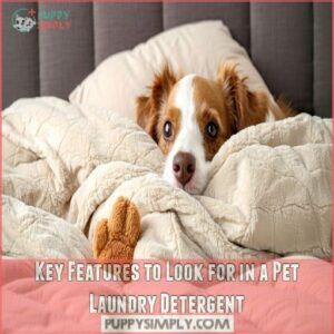 Key Features to Look for in a Pet Laundry Detergent