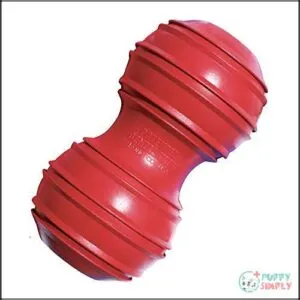 KONG Dental Dog Toy -