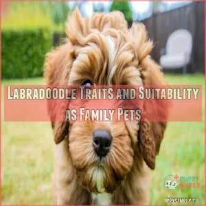 Labradoodle Traits and Suitability as Family Pets