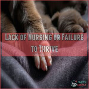 Lack of Nursing or Failure to Thrive