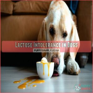 Lactose Intolerance in Dogs