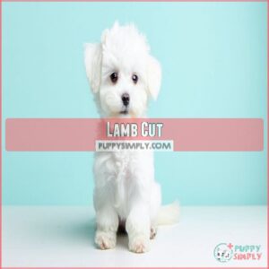 Lamb Cut