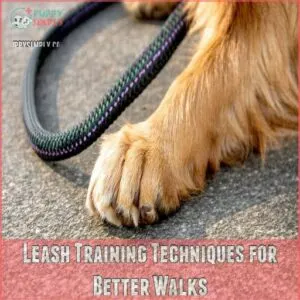 Leash Training Techniques for Better Walks