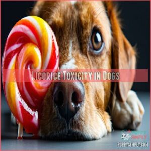 Licorice Toxicity in Dogs