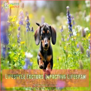 Lifestyle Factors Impacting Lifespan