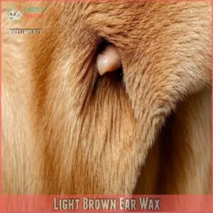 Light Brown Ear Wax