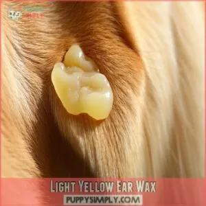 Light Yellow Ear Wax