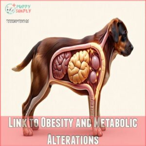 Link to Obesity and Metabolic Alterations