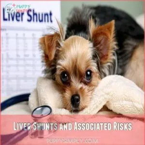 Liver Shunts and Associated Risks